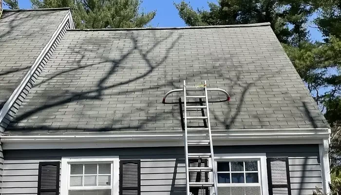 roof cleaning