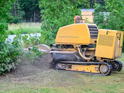 Stump Grinding