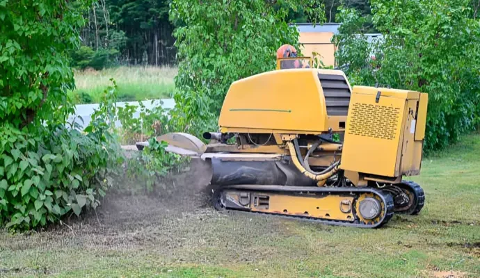 Stump Grinding