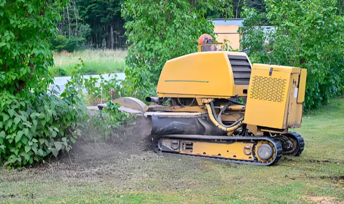 The Benefits of Professional Stump Grinding and Yard Maintenance | A ...
