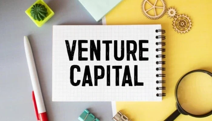 Venture Capital