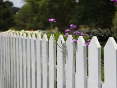 Fence Replacement