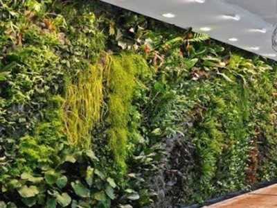 Wall Garden