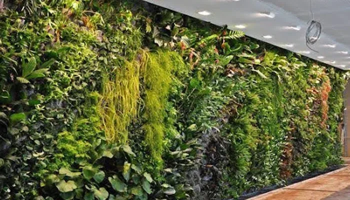 Wall Garden