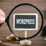 WordPress Site