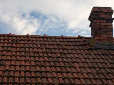 Terracotta Roof Restoration