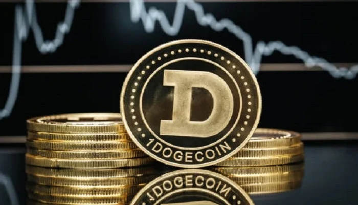 Dogecoin Investment