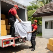 Removalists in Brisbane